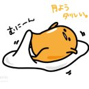 세종숙박 이미지