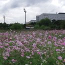 안산 화랑유원지 이미지