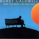 Bobby Caldwell - What You Won&#39;t Do for Love 이미지