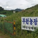 부원농장 이미지