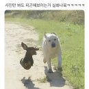 히로스시 - 남구 동산로 44-1 | 히로스시