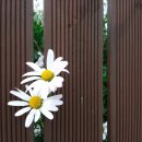 춘포역사 이미지