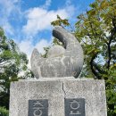 일진행정사사무소 이미지