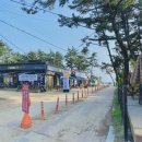 몽산포패밀리데이캠핑장 이미지