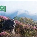 7월1일(일)-6일(금) 대한민국종단537키로 울트라마라톤대회 이미지