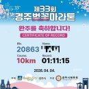 벚꽃주유소 | 제33회 경주벚꽃마라톤 대회 우중런 10km 후기