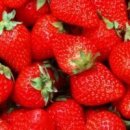 경화식당 이미지