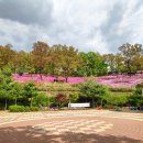 고강선사유적공원 이미지