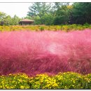 신흥근린공원 이미지