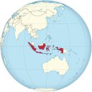 [극한직업] - 인도네시아 상어잡이 1~2부~극한직업! 인도네시아 땅꾼의 '뱀' 사냥! 이미지