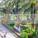 신화오토본점 | [ 제주ㅣ1일차 ] 이모, 삼촌네 부부 친척동생까지 6인 가족여행ㅣ1일차ㅣ전체일정