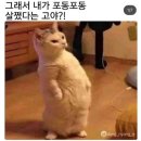 낙주 이미지