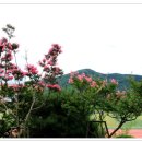 금계초등 이미지