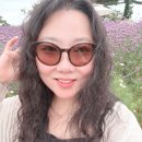혜영식품 | 260622 예산, 공주, 홍성, 안면도
