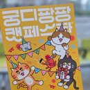 하늘캣 | 2026 궁디팡팡 캣페스타 대전 1일차 오픈런 다녀온 후기