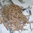 승현1농장 이미지