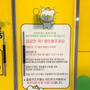 부산 명지 키즈카페 대관해서 놀 수 있는 꿀잼키즈룸