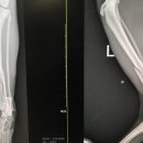 조형선외과동물병원 이미지