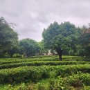 다원민박 이미지