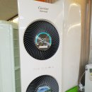 최강 백호 태권도장 이미지