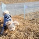 룰루랄라 이미지