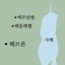 [성지에서 만나는 성경 말씀] 아브라함을 찾아온 세 손님 이미지