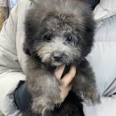논산펫마트