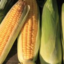 흙내음농장 이미지