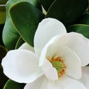 행복가구갤러리 - 경주시 산업로 4884-1 | 행복가구갤러리