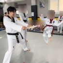 맹호태권도장 이미지