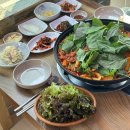 성준오리 이미지