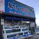 봉달이물회대게 | [포항/구룡포맛집] 해녀가 직접 잡은 봉달이 물회대게!!