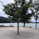 히든캠프 이미지