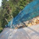 한태양광발전소 이미지