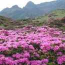 홈플러스입구(동)1 이미지