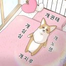 바다윤슬 이미지