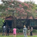 영천동-1 이미지