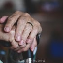 창원성심노인전문요양원 네이버블로그