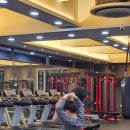 킹콩 복싱 아카데미 이미지