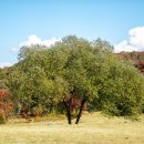 당포의하루 이미지