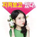 백산종합체육관 | 경남 거창군 가볼만한 곳