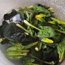 한얼농장 이미지