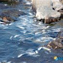 대송공원 이미지