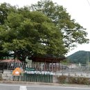 용계제 이미지