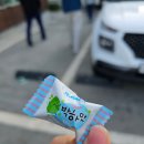 발리해물회