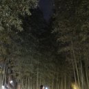 에스티알엘(Strl)호텔 이미지