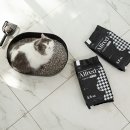 애니멀 라이프 이미지