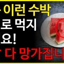 요즘 이런 수박 절대로 먹지마세요! 콩팥 다 망가집니다.. (수박과 같이 먹으면 보약이 되는 음식, 수박 효능) 이미지