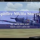 A2A Accusim Spitfire MkIIa 시동걸기, 이륙, 비행 및 착륙까지.. 이미지