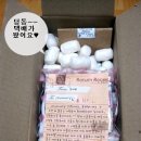 봉마땡 이미지